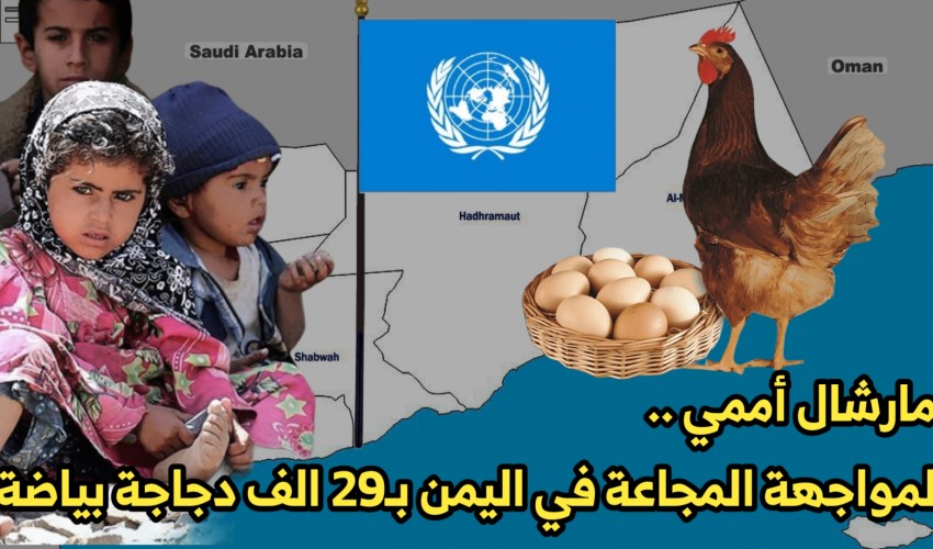 شاهد .. مارشال أممي لمواجهة المجاعة في اليمن بـ29 الف دجاجة بياضة يُثير سخرية اليمنيين ( فيديو )